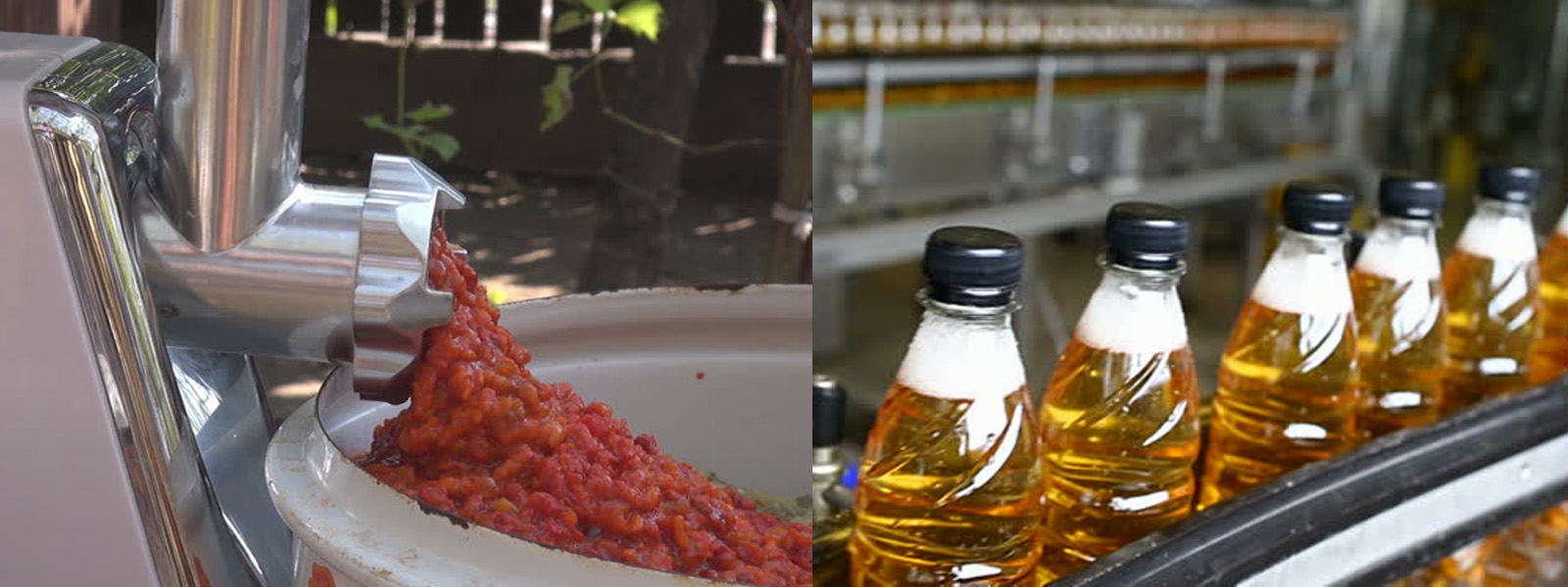 FoodProcessing6
